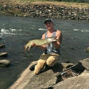 Meet your Posher, Corey